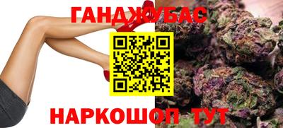 индика Гатчина
