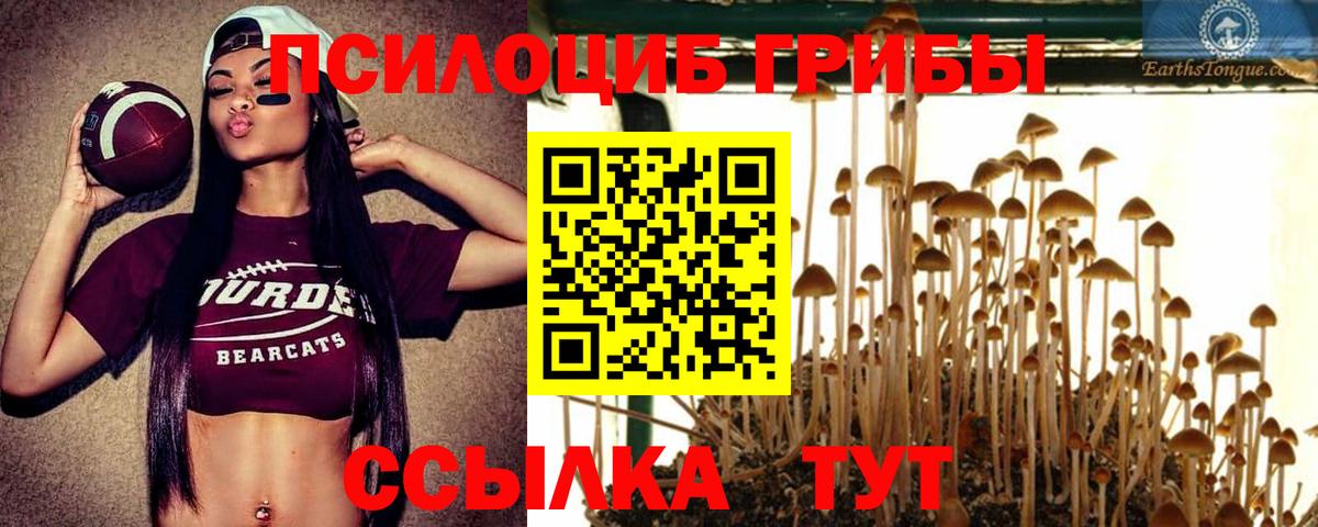 Псилоцибиновые грибы Psilocybine cubensis  Галлюциногенные грибы Magic Shrooms  Вход с VPN  Комсомольск-на-Амуре 
